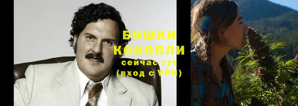 мет Арсеньев
