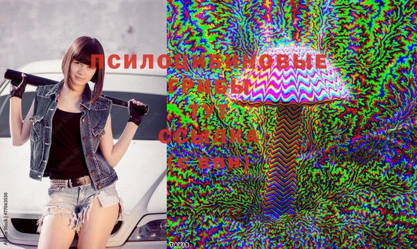 мет Арсеньев