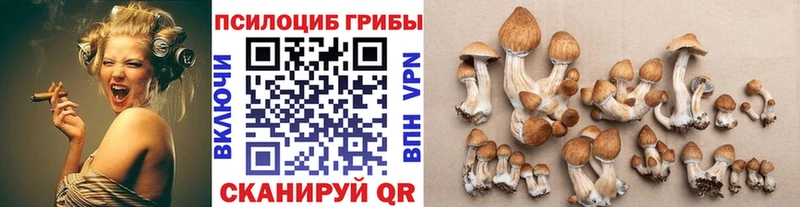 Галлюциногенные грибы Psilocybine cubensis  Куса 